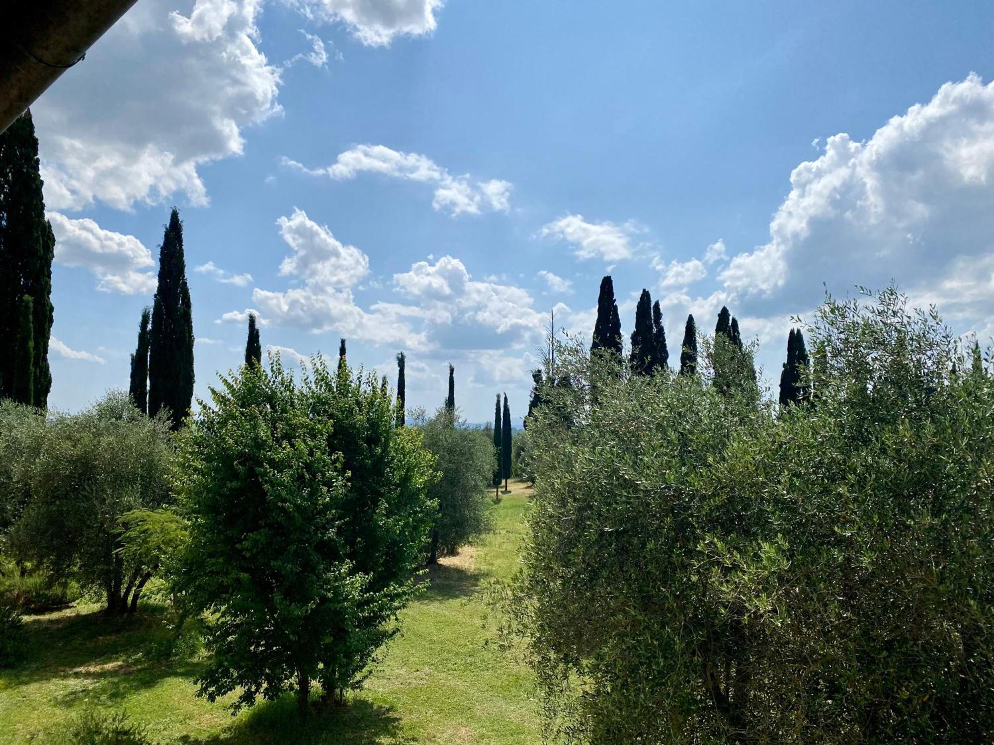 Villa Brignole Monteaperti  Room photo